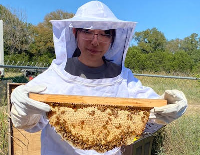 Beekeeping: A Buzzworthy Experience