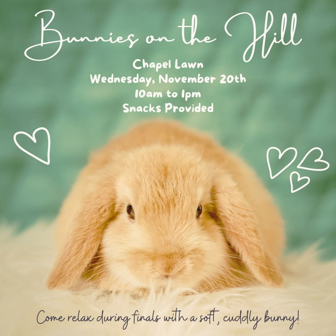 Bunnies on the Hill and Finals